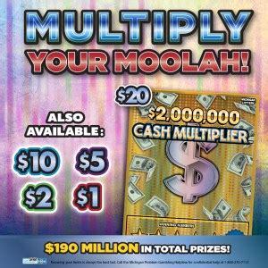 millionaire raffle michigan|Cash Multiplier Family of Instant Games Gives Players a Chance .